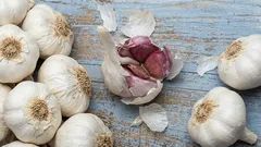 Nevyhazujte je: proč je doporučeno přidávat česnekovou slupku do půdy pro rostliny a k čemu je užitečná.