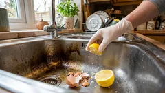 Proč už nevyhazuji vaječné skořápky – a kde se opravdu hodí