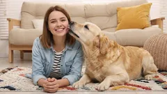 10 důkazů, že vás pes chrání