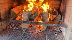 Jaké dřevo se nesmí spalovat doma: tyto druhy nezahřejí