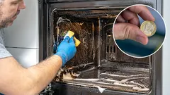 Jak snadno vyčistit troubu od mastnoty a usazenin? K tomu budete potřebovat minci a kypridlo.