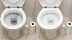 Rolka toaletního papíru a ocet: jednoduchý způsob, jak odstranit vodní kámen v toaletní míse a vrátit jí původní vzhled.