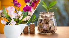 12 pokojových rostlin jako talismany: které květiny přinášejí do domu štěstí a blahobyt